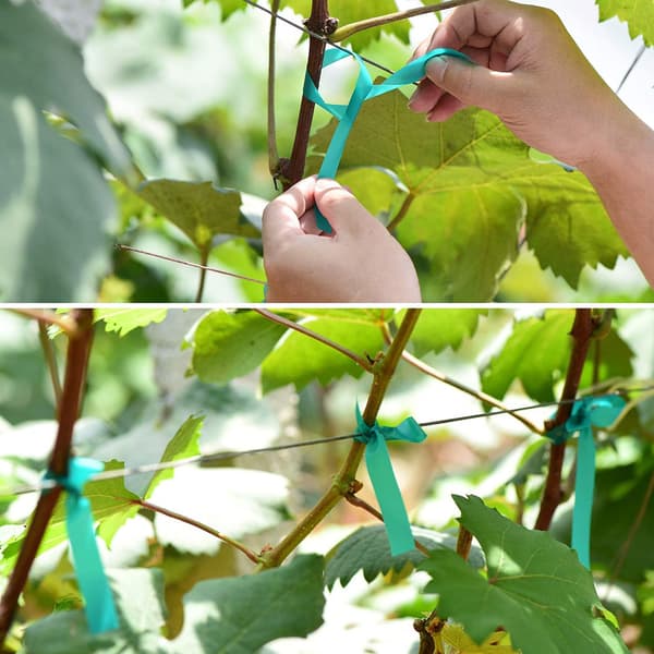 Blomstertape 30m 20-pakning