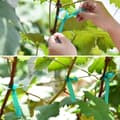 Miniatyrbillede 2 af 2: Blomstertape 30 m 20-pak