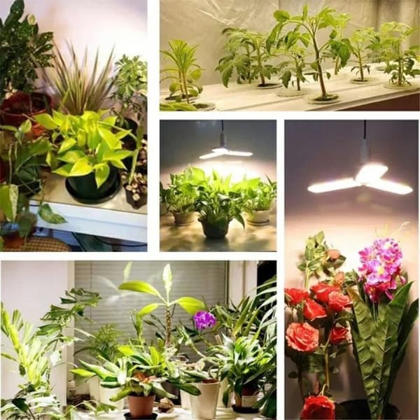 LED Grow Light 40W fullspektret plantelamper med 3 sammenleggbare blader
