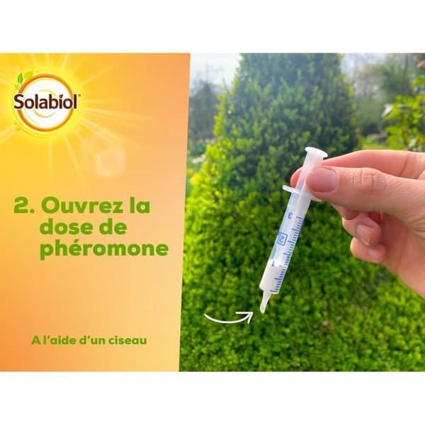 Buxbommal SOLABIOL - Sopibuisn - Fodral 1 fälla + 1 spruta Feromoner ingår - 6 månaders övervakning