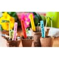 Miniatyrbild 2 av 3: NATUR Stick-on etiketter