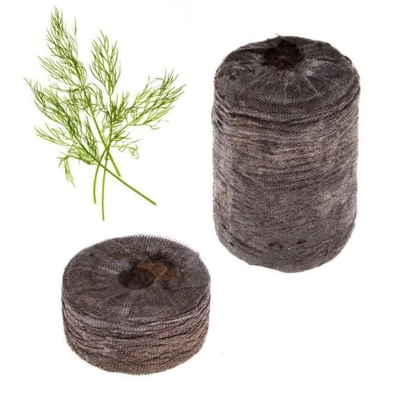 TREGREN Dillkapselsats för grönsaksträdgård inomhus. 2 torvkapslar och dillfrön.