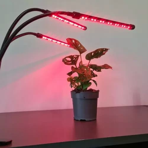 BEMI LED LAMPA FÖR VÄXTER FÖR TILLVÄXT BELYSNING 3 PANELER TIMER + FJÄRRKONTROLL