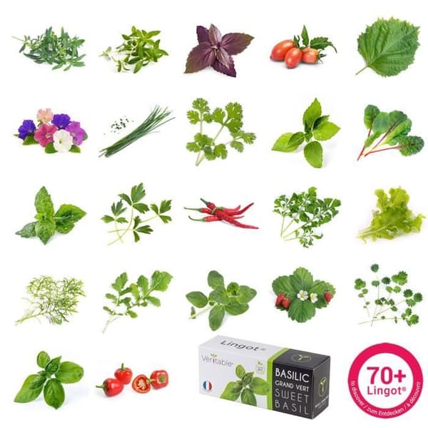 EKOLOGISK Lemon Basil Lingot® - RIKTIGT - Klar att använda påfyllning - Classic, SMART, Connect, Exky®