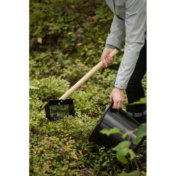 Marjukka Pro Harvester bärkratta – 53 cm – Järn och valnöt