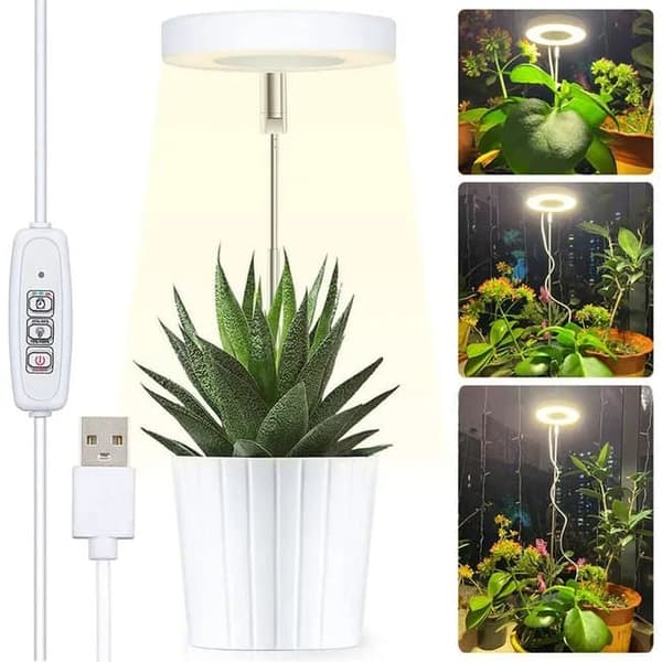 Lollanda Växtlampa / växtbelysning, justerbar höjd, Lampa För Växter med på/av timer (2/4/8 timmar)-lämplig för små växter