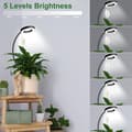Pikkukuva 3 / 7: Lollanda Clip-on Full Spectrum Grow Light LED, Grow Light / Grow Light – Ajastin, Säädettävä, 1 kpl