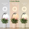 Pikkukuva 2 / 7: Lollanda Clip-on Full Spectrum Grow Light LED, Grow Light / Grow Light – Ajastin, Säädettävä, 1 kpl