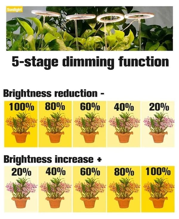 Lollanda USB LED Grow Light 4000K/ Grow Light, Fuldspektret Indendørs Grow Light - Timer, Justerbar - Velegnet til små planter