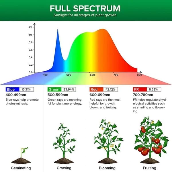 Lollanda USB LED Grow Light 4000K/ Grow Light, Fuldspektret Indendørs Grow Light - Timer, Justerbar - Velegnet til små planter