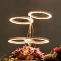 Miniatyrbild 3 av 8: Lollanda USB LED Växtlampa 4000K/ växtbelysning, fullspektrum inomhusväxtlampa - Timer, Justerbar - lämplig för små växter