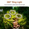 Miniatyrbild 4 av 8: Lollanda USB LED Växtlampa 4000K/ växtbelysning, fullspektrum inomhusväxtlampa - Timer, Justerbar - lämplig för små växter