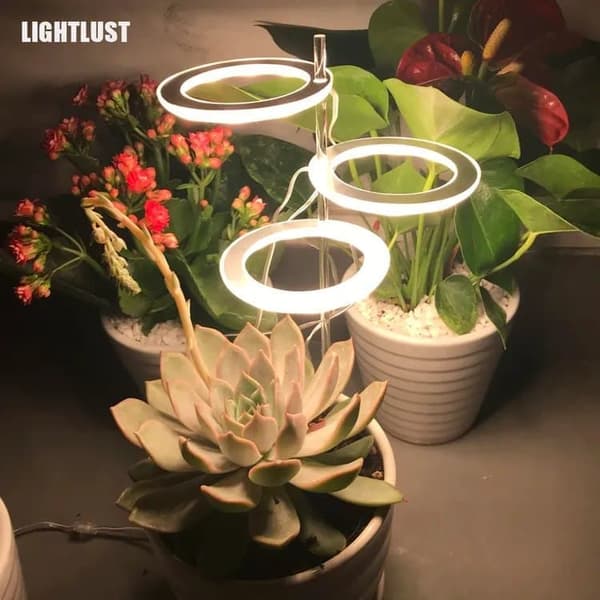 Lollanda USB LED Växtlampa 4000K/ växtbelysning, fullspektrum inomhusväxtlampa - Timer, Justerbar - lämplig för små växter