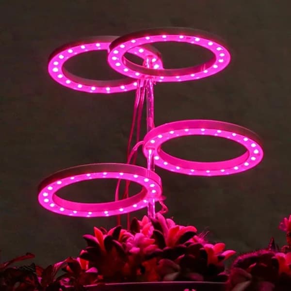 Lollanda USB LED Växtlampa 4000K/ växtbelysning, fullspektrum inomhusväxtlampa - Timer, Justerbar - lämplig för små växter