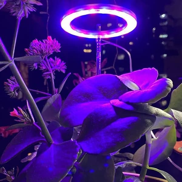 Lollanda USB LED Växtlampa 4000K/ växtbelysning, fullspektrum inomhusväxtlampa - Timer, Justerbar - lämplig för små växter