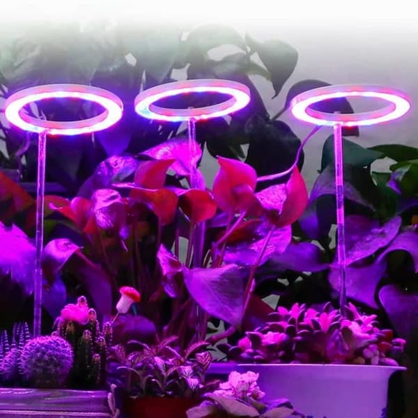 Lollanda USB LED Växtlampa 4000K/ växtbelysning, fullspektrum inomhusväxtlampa - Timer, Justerbar - lämplig för små växter