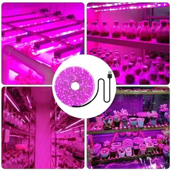 Lollanda Fullspektrum USB LED Växtlampa / växtbelysning – Klippbar, Växthus - lämplig för små växter