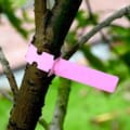 Pikkukuva 9 / 10: 300 kpl kasvitarroja, kasvipuutarhojen tunnisteita, ulkokäyttöön, vedenpitäviä, muovifolioon ripustettavia tarroja, uudelleenkäytettäviä