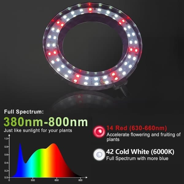 OBOSOE 50W Växtlampa - 6000K Fullspektrum LED Växtljus med Timer 4/8/12h & Höjdjustering - Perfekt för Inomhusväxter