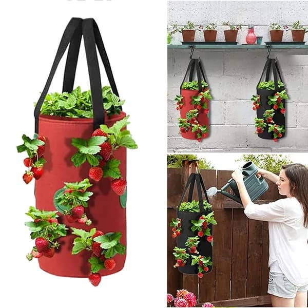 Lollanda Hängande odlingspåse för jordgubbar och tomater – trädgårdspåse med 12 planteringshål, 20×35 cm