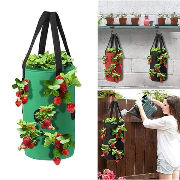 Lollanda Hängande odlingspåse för jordgubbar och tomater – trädgårdspåse med 12 planteringshål, 20×35 cm