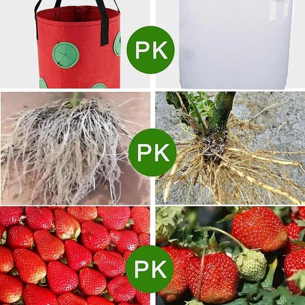Lollanda Hängande odlingspåse för jordgubbar och tomater – trädgårdspåse med 12 planteringshål, 20×35 cm