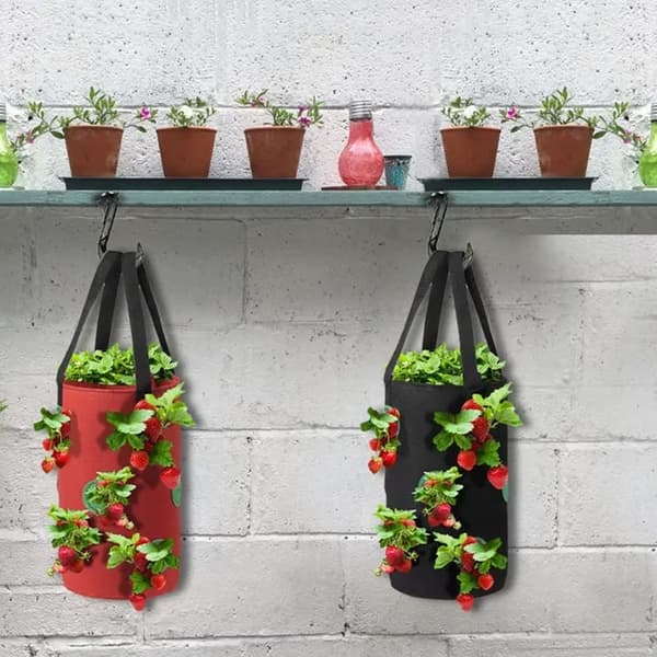 Lollanda Hängande odlingspåse för jordgubbar och tomater – trädgårdspåse med 12 planteringshål, 20×35 cm