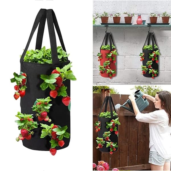 Lollanda Hängande odlingspåse för jordgubbar och tomater – trädgårdspåse med 12 planteringshål, 20×35 cm