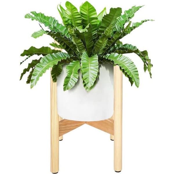 SPRINGOS® växtställ i trä - Skandistyle - 19 x 19 x 35 cm - Lackat - Naturligt