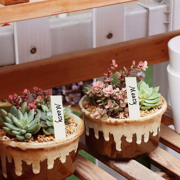 INF Planteetiketter / planteskilt for enkel planteidentifikasjon - 100 stk Hvit 10x2 cm
