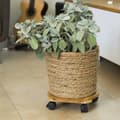Miniatyrbillede 2 af 4: Nature plantevogn Ø30 cm rund BPC brun