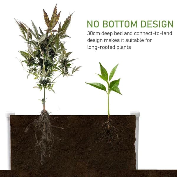 Rootz Højbed - Plantekasse med afvandingsfunktion - Beskyttelse mod skadedyr - Plast - Grå - 120 x 90 x 30 cm