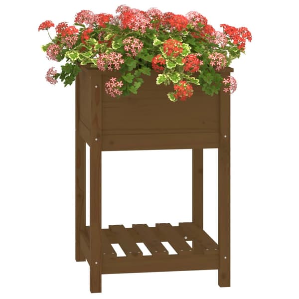 plantekasse med hylde 54x54x81 cm massivt fyrretræ gyldenbrun
