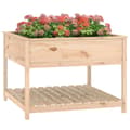 Miniatyrbillede 4 af 8: plantekasse med hylde 111,5x111,5x81 cm massivt fyrretræ