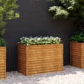 Pikkukuva 1 / 7: Korotettu kukkalaatikko 100x50x69 cm Corten teräs