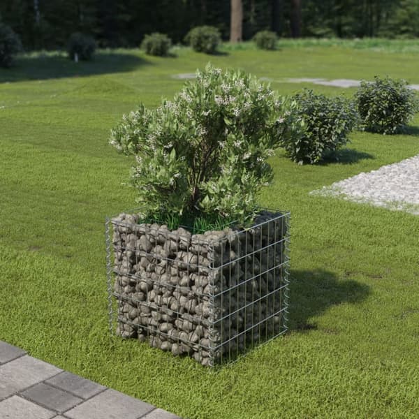 gabion-højbed 50x50x50 cm galvaniseret stål