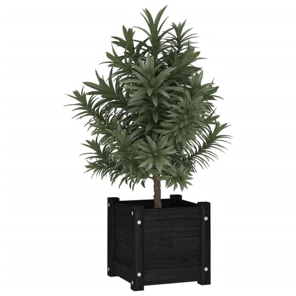 Odlingslådor 2 st svart 31x31x31 cm massiv furu