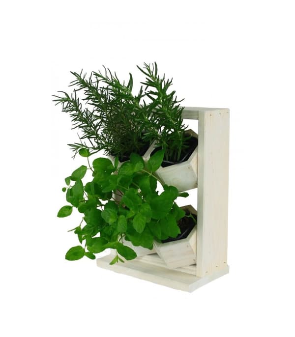 Træ vertikale plantekasser RD-8/2x2 - Hvide