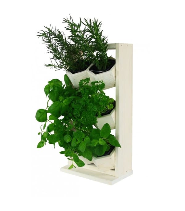 Puutarhakalusteet Puinen Pystysuora RD-8/2x3 - Luonnollinen viimeistely