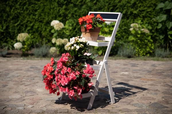 Træblomsterreol /100x52x52 cm/ Hvidt finish