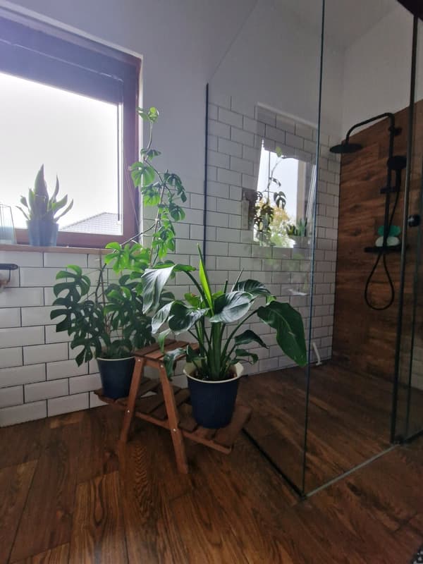 Mange niveauer blomsterstativ 3-hyldet RKA /45x74x25/ Brun