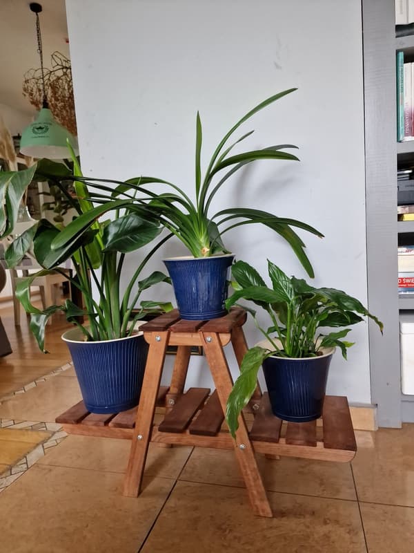 Mange niveauer blomsterstativ 3-hyldet RKA /45x74x25/ Brun