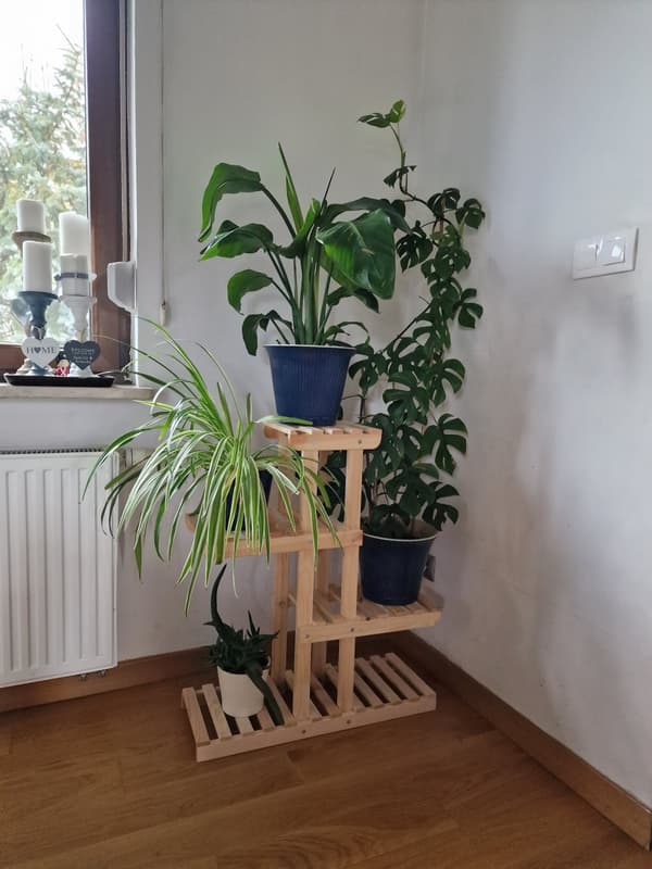 Multilevel blomsterstativ 5-hyldet RKA /82x68x25/ Naturlig
