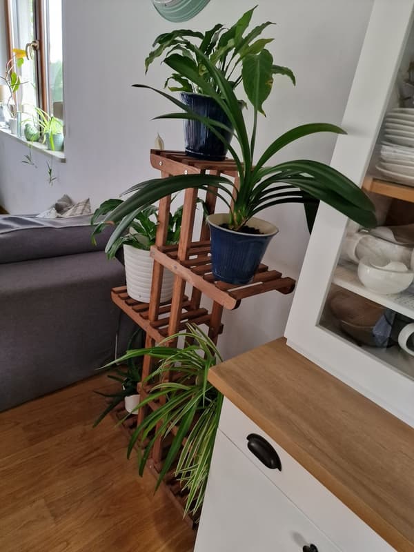 Mångnivå blomsterställning 6-hyllor RKA /117x68x25/ Brun