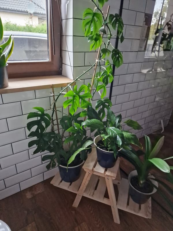 Mångnivå blomställning 3-hyllor RKA /45x74x25/ Brunt bränt