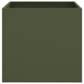Pikkukuva 5 / 10: Kukkalaatikot 2 kpl oliivi 49x47x46 cm kylmävalssattu teräs