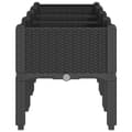 Miniatyrbillede 4 af 7: plantekasse med ben 160x40x42 cm PP sort