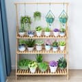 Miniatyrbild 2 av 2: Bambu Blomkruks Hylla, 100cm Höjd, Hopfällbar Design, Med upphängning