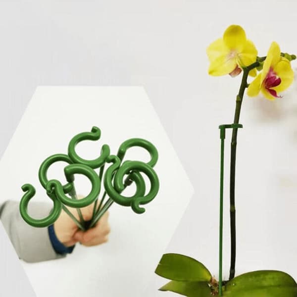 Stabiliseringspind til Planter/Blomster i jord - 17 cm