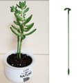 Miniatyrbild 6 av 6: Stabiliseringspinne för Växter/Blommor i jord - 27 cm